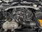 2018 Ford Shelby GT350 Shelby GT350