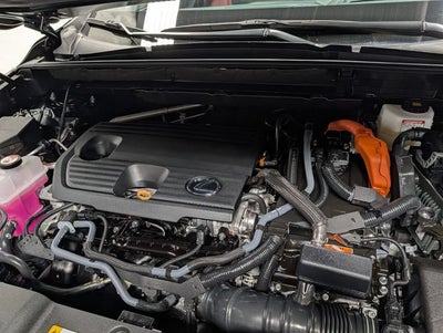 2025 Lexus NX 350h Premium